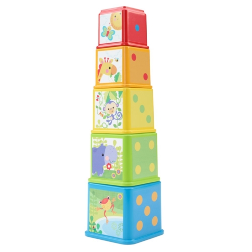 Fisher-Price Stapel & Ontdek Blokken