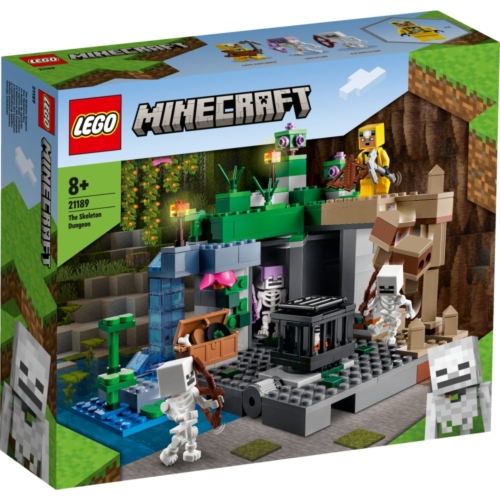 LEGO 21189 Minecraft De Skeletkerker