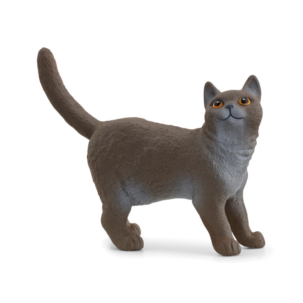 Schleich 13973 Britse korthaar