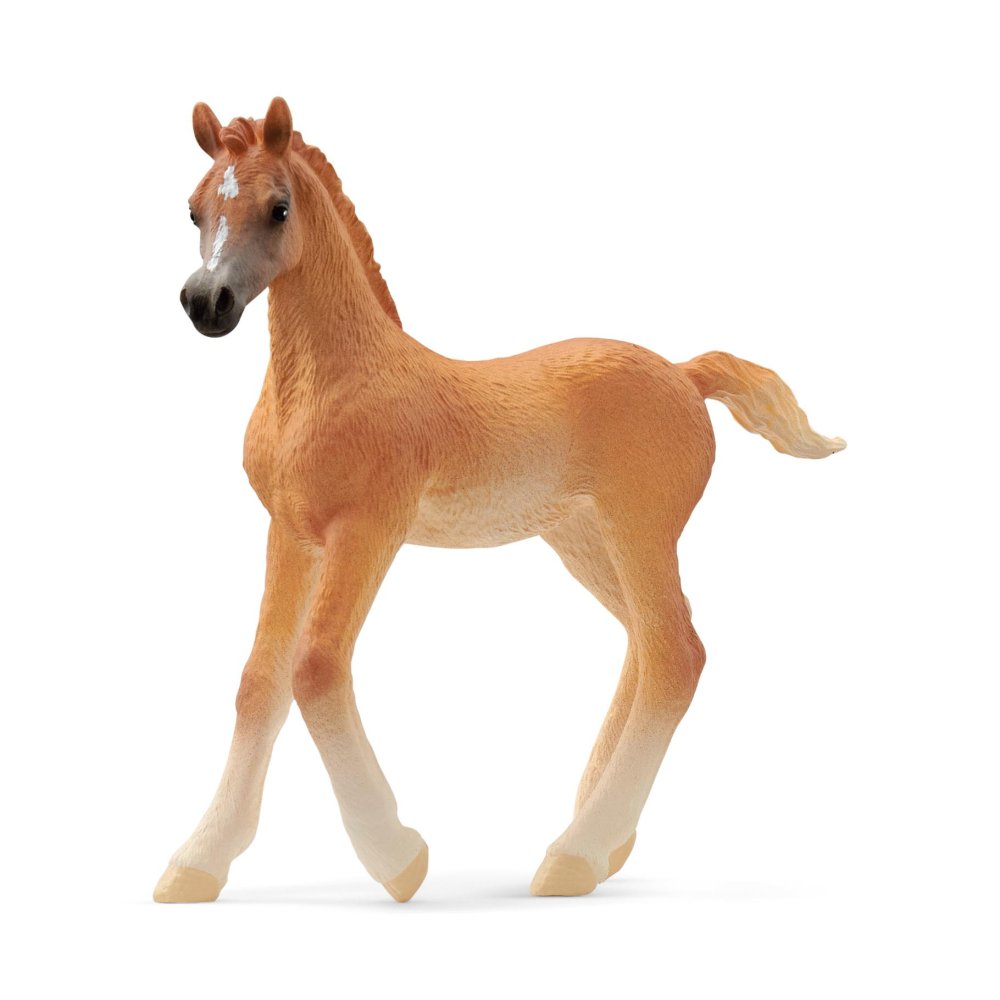 Schleich 13984 Arabisch veulen