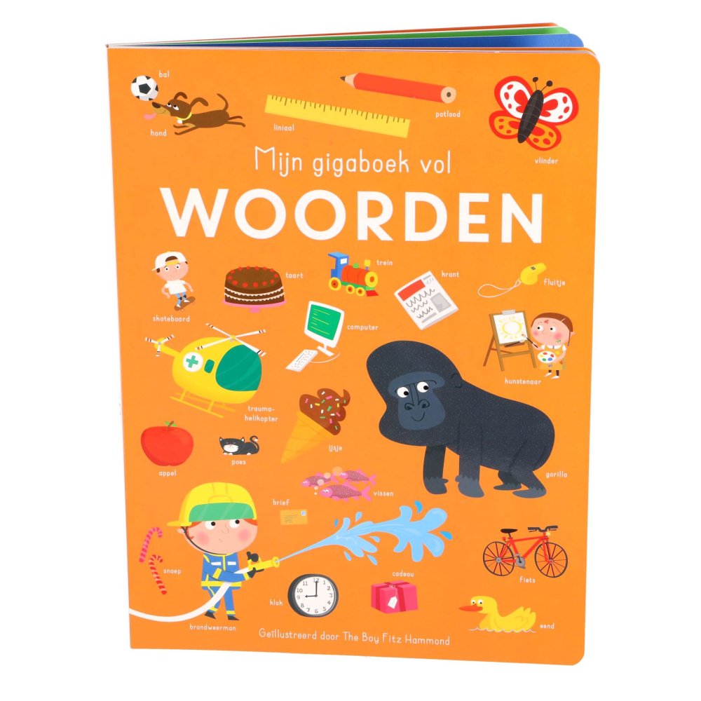 Boek Mijn Gigaboek Vol Woorden