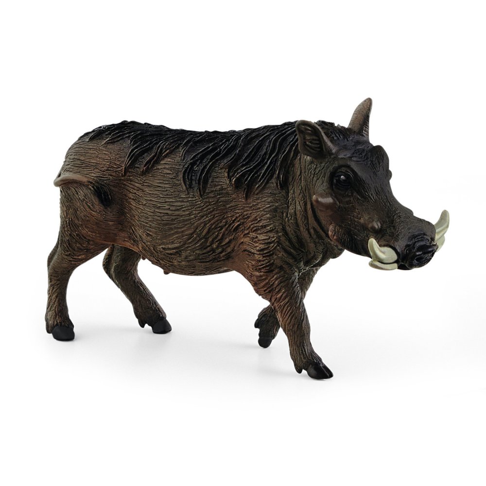 Schleich 14843 Wrattenzwijn