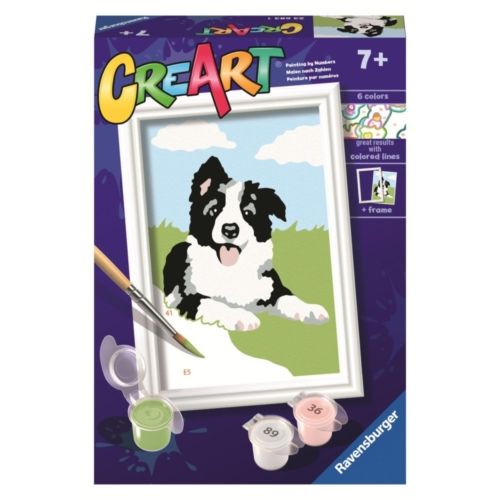 Ravensburger Creart schilderen op nummer border  collie