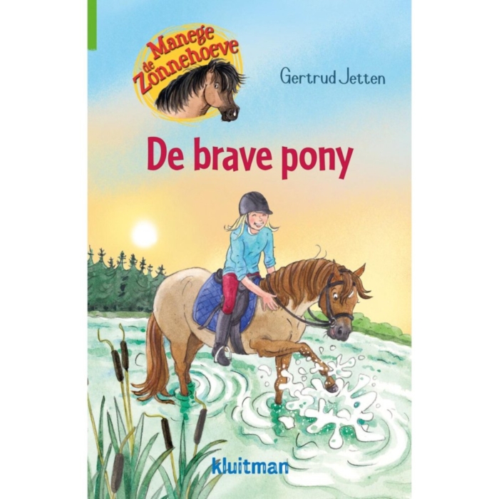 Boek De Brave Pony